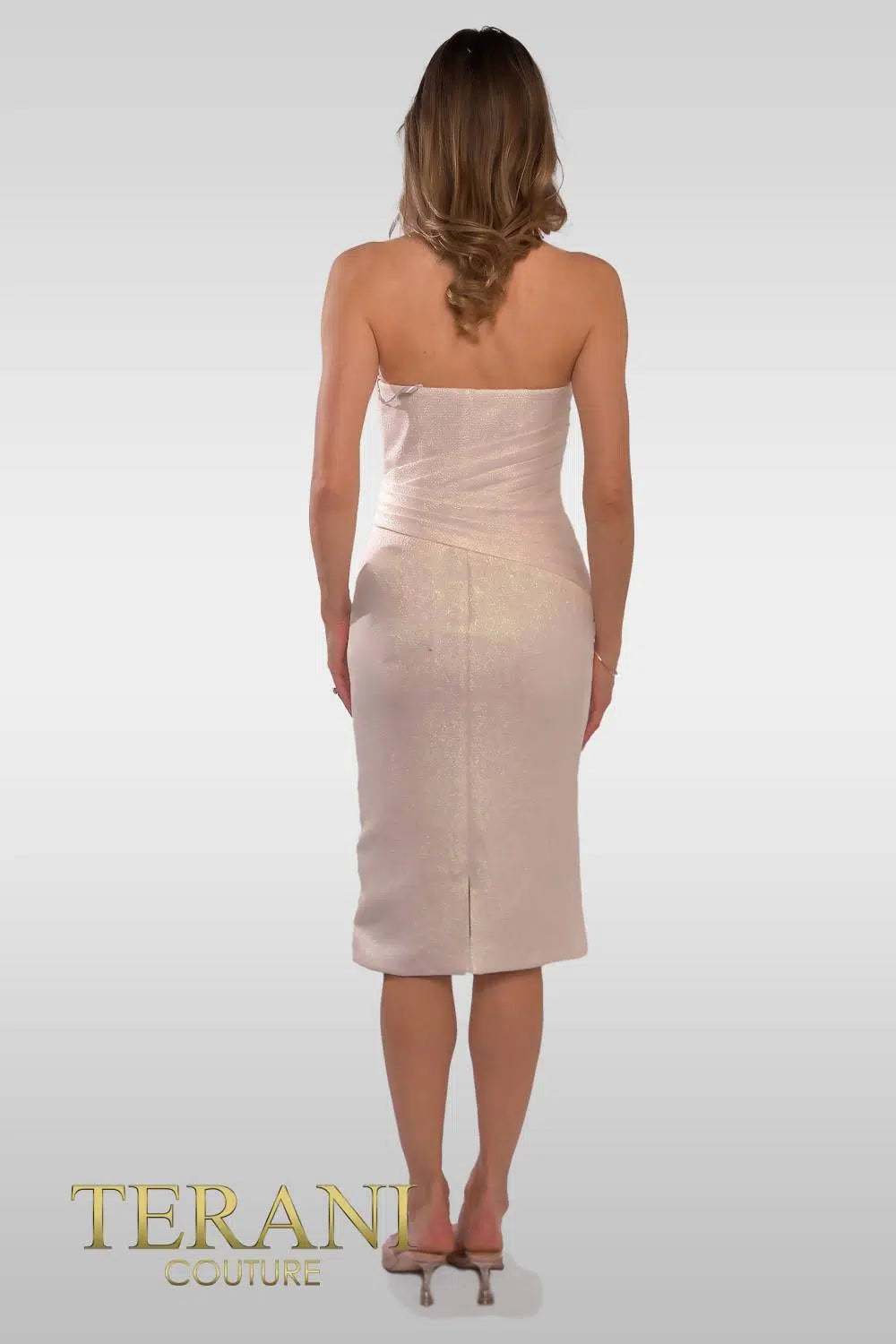 TERANI 241C2320 DRESS - FOSTANI.com