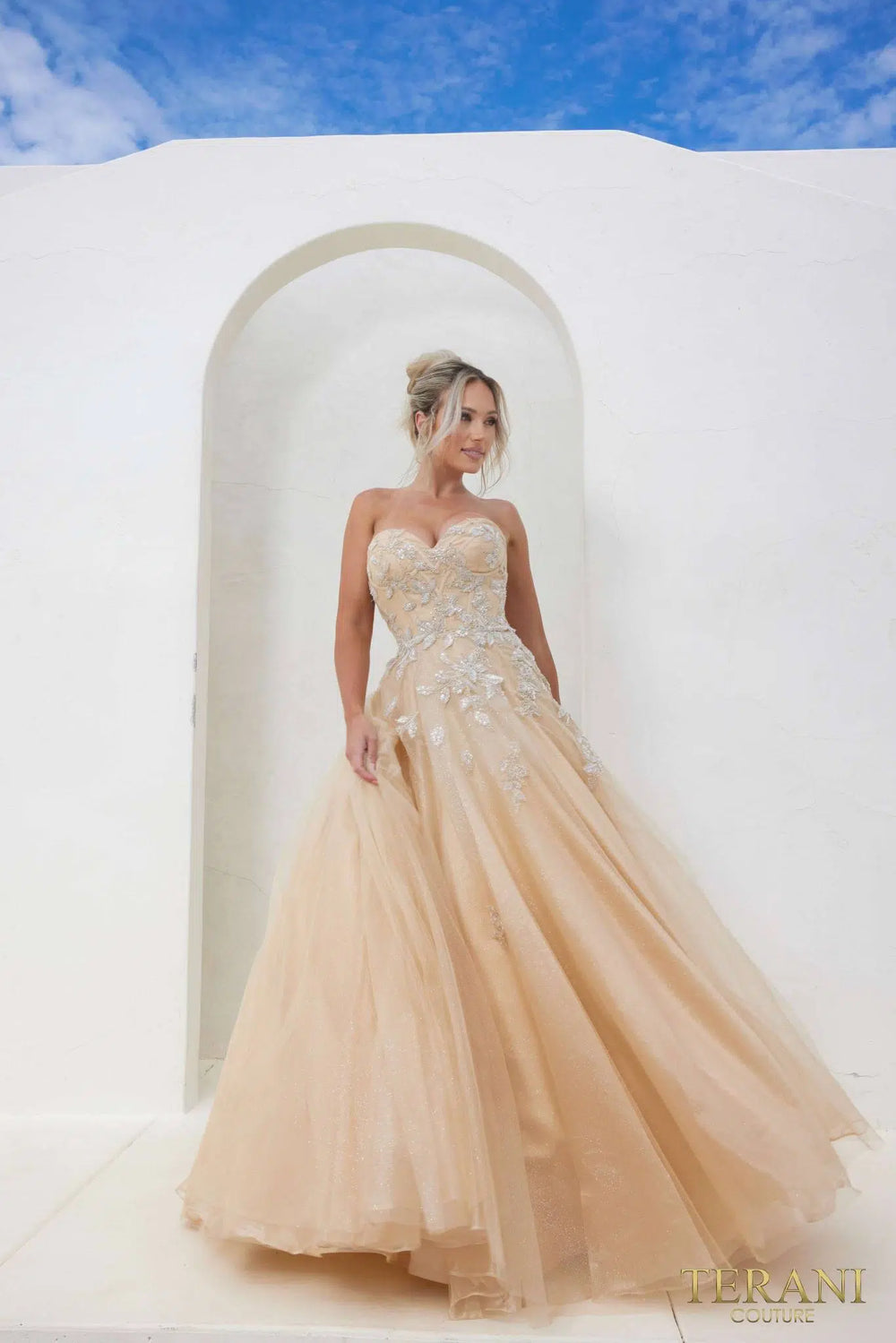 TERANI 241P2216 DRESS - FOSTANI.com