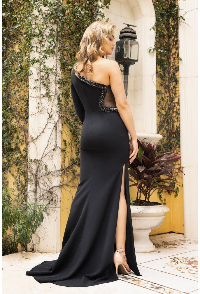 Terani 242E3134 Dress - FOSTANI.com