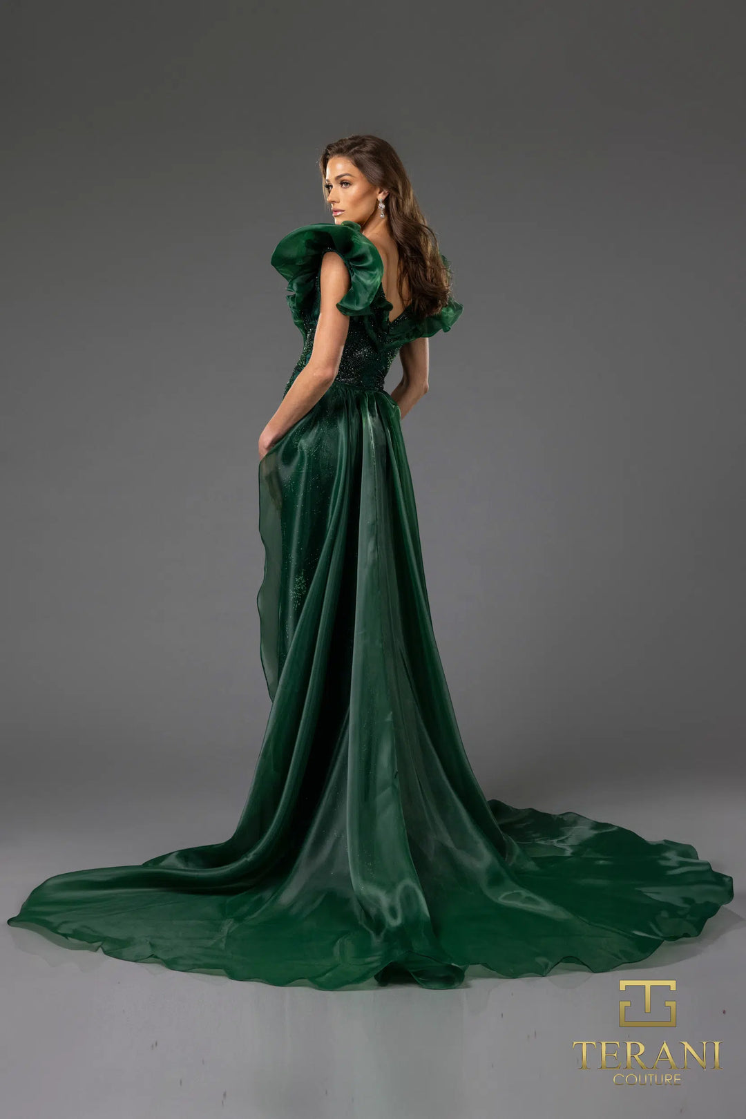 TERANI 251GL4357 DRESS - FOSTANI.com