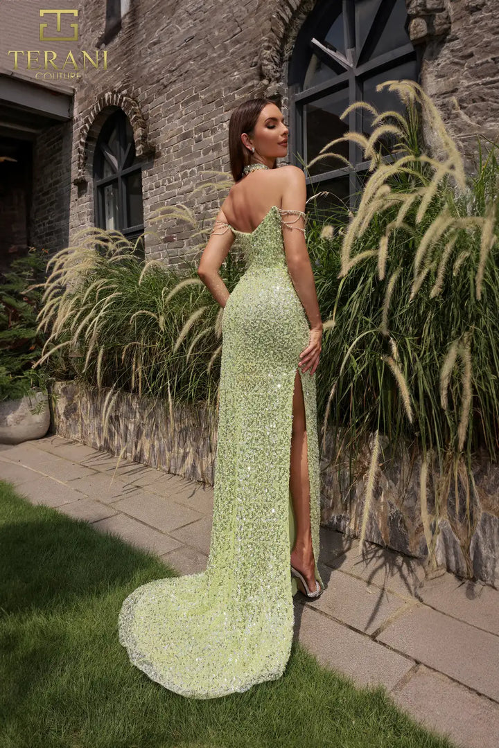 TERANI 251P4329 DRESS - FOSTANI.com