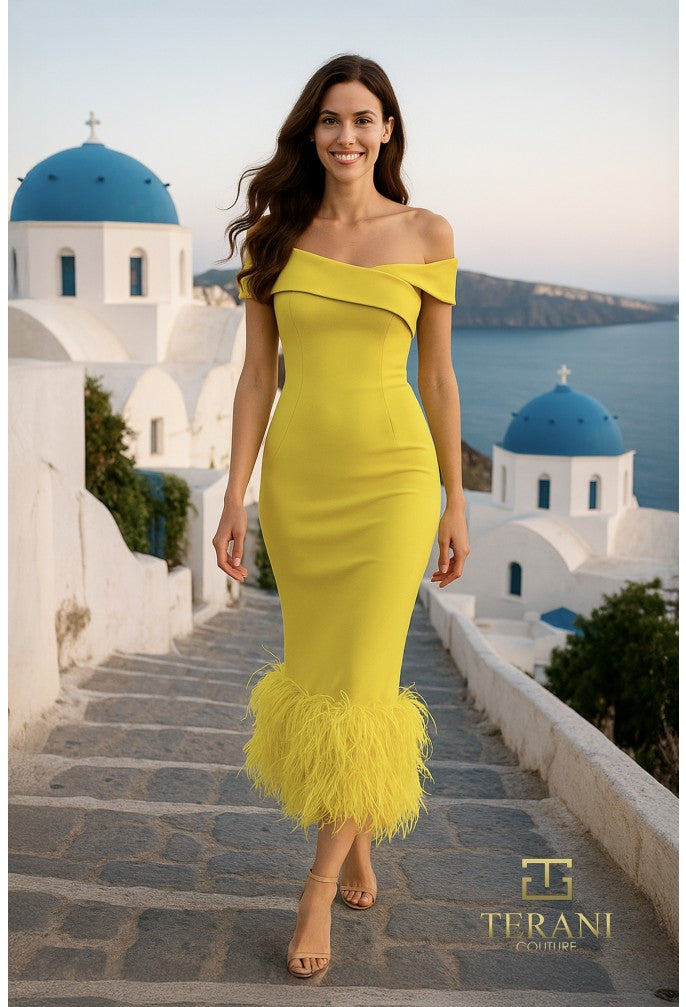 Terani 252C5033 Dress - FOSTANI.com