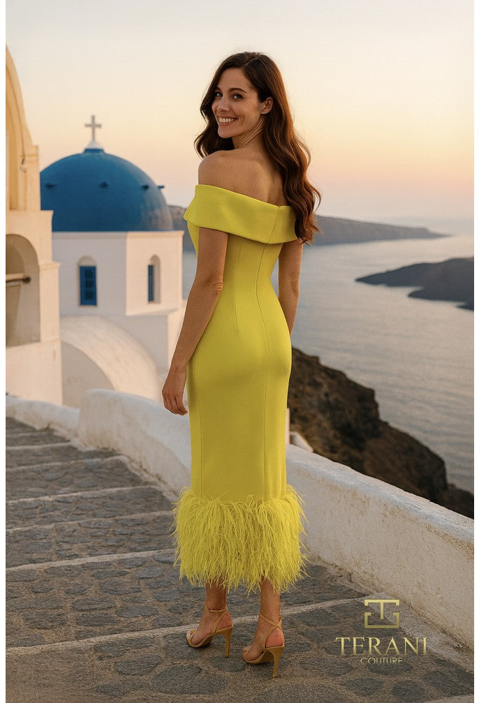 Terani 252C5033 Dress - FOSTANI.com