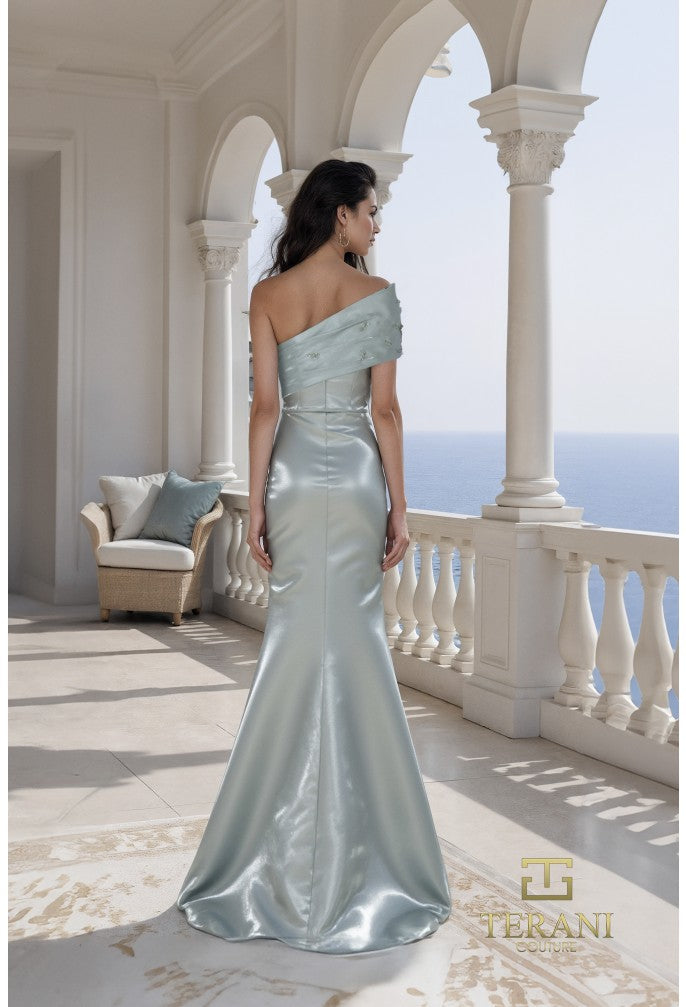 Terani 261E6227 Dress - FOSTANI.com