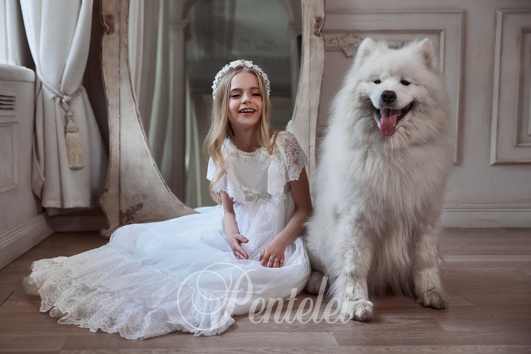 PENTELEI 3140 Dress - FOSTANI.com