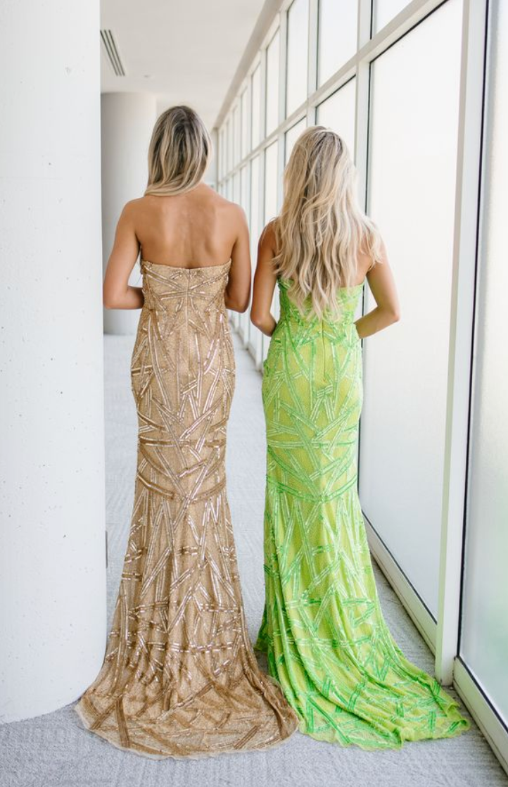 Aleta 1507 Dress