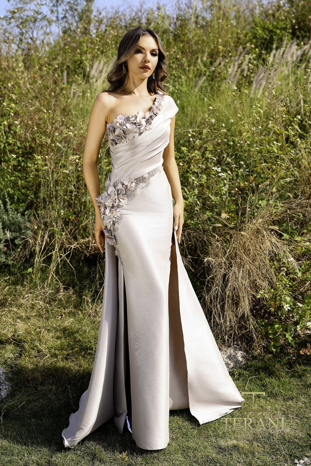 Terani 252E5116 Dress - FOSTANI.com