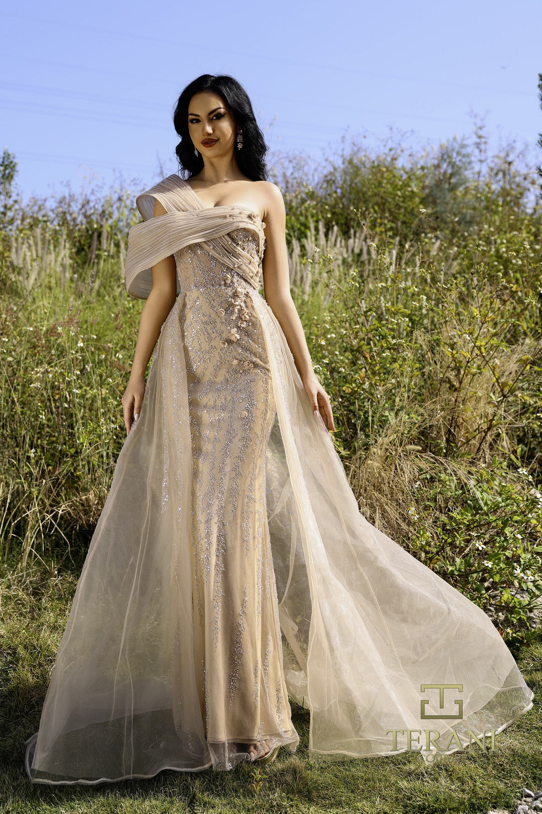 Terani 252E5125 Dress - FOSTANI.com