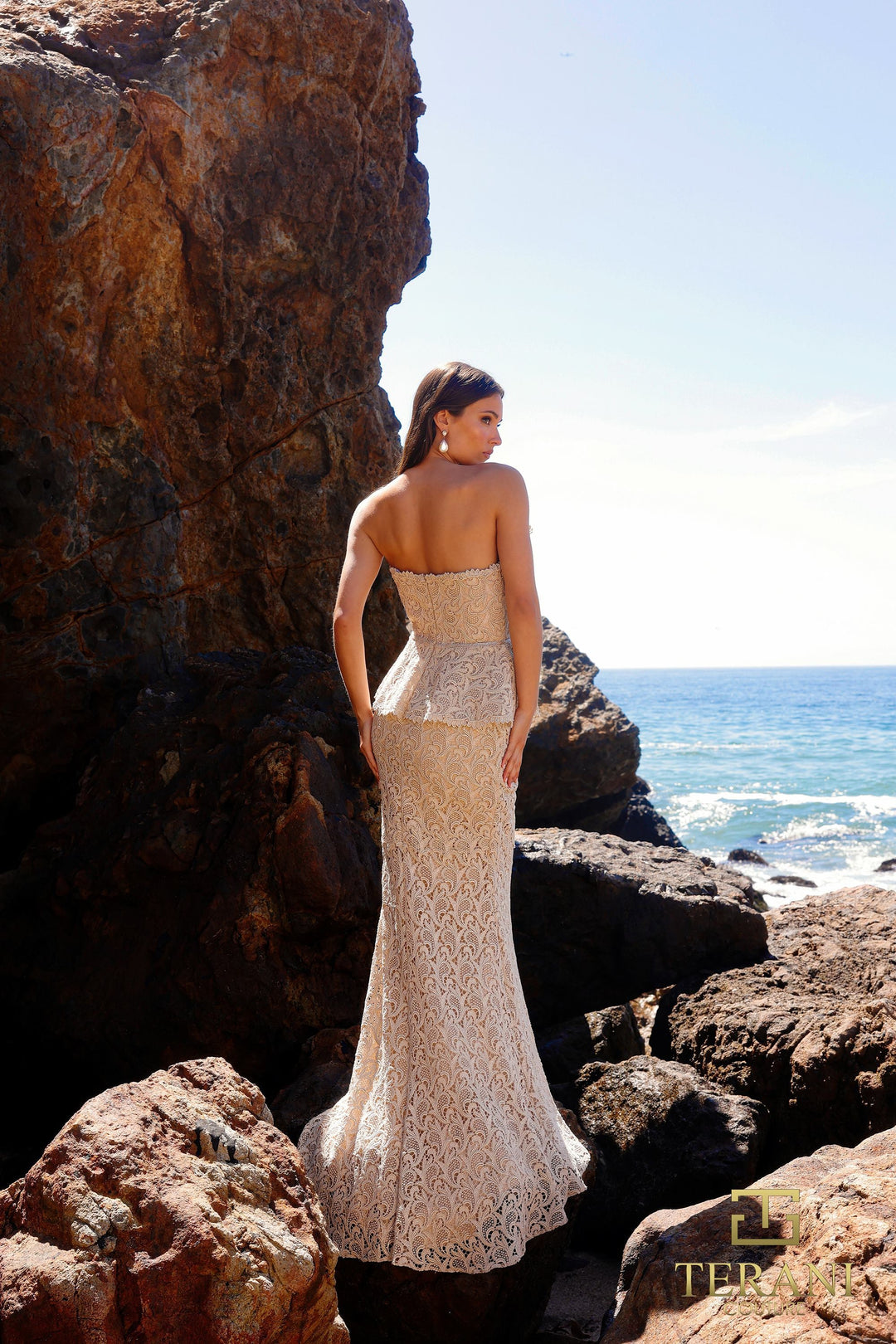 Terani 252E5144 Dress - FOSTANI.com