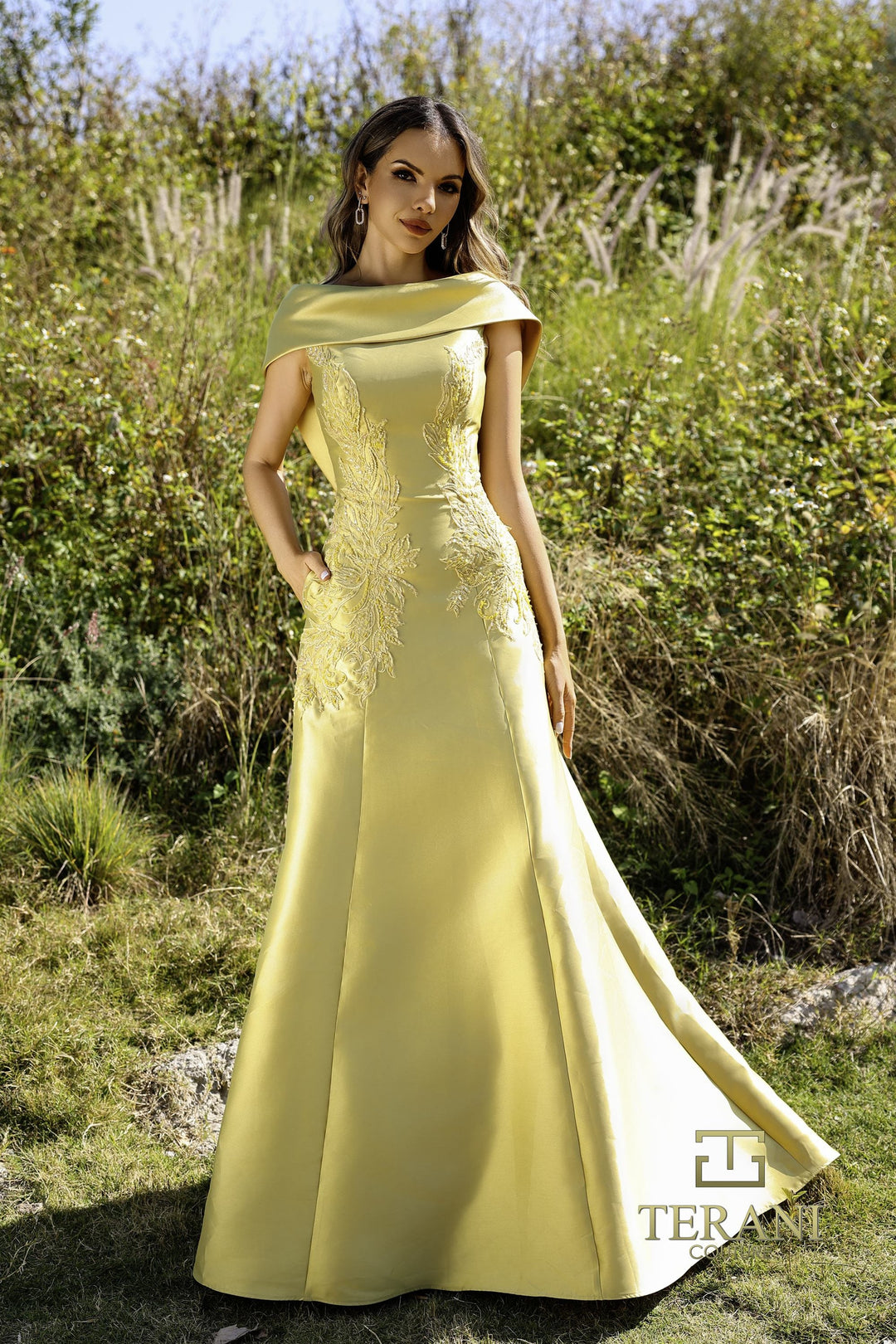 Terani 252M5356 Dress - FOSTANI.com