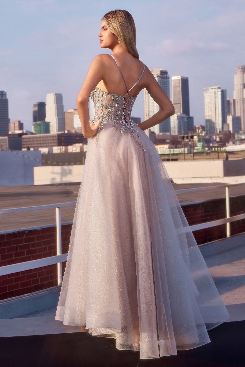 Cinderella Divine  CC0881 Dress - FOSTANI.com
