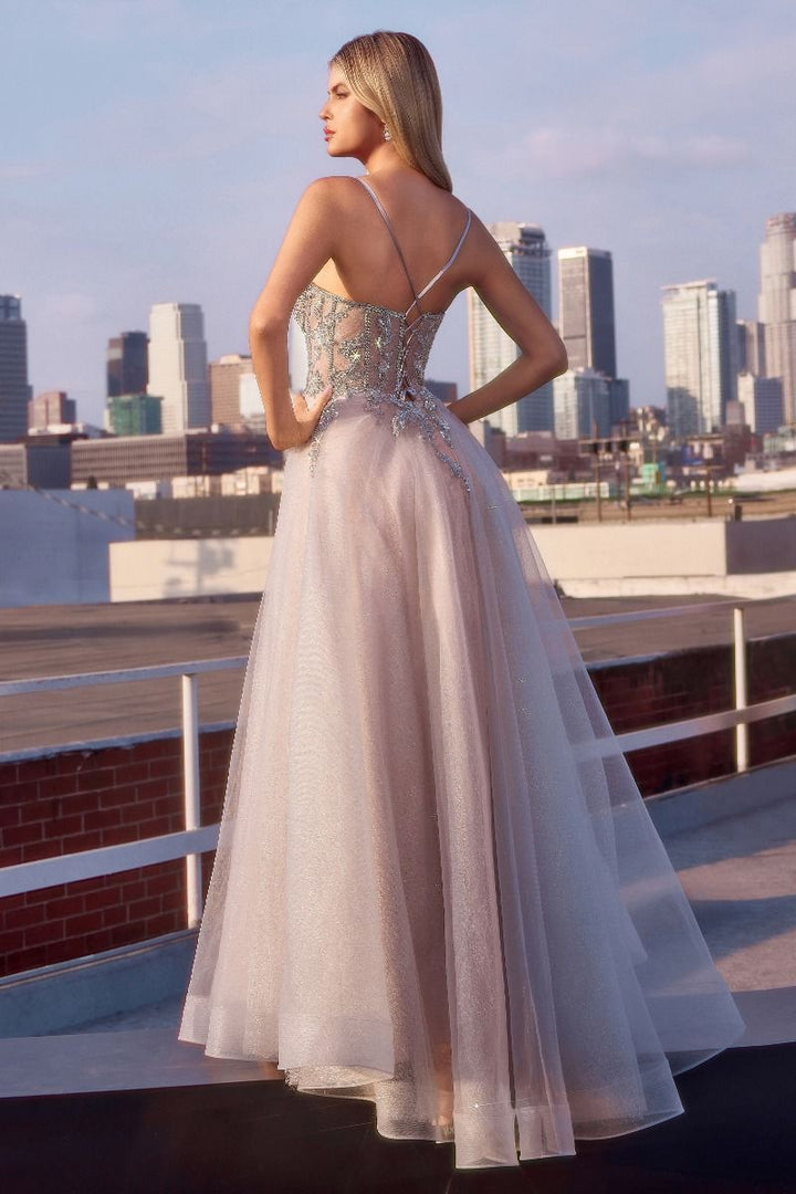 Cinderella Divine  CC0881 Dress - FOSTANI.com