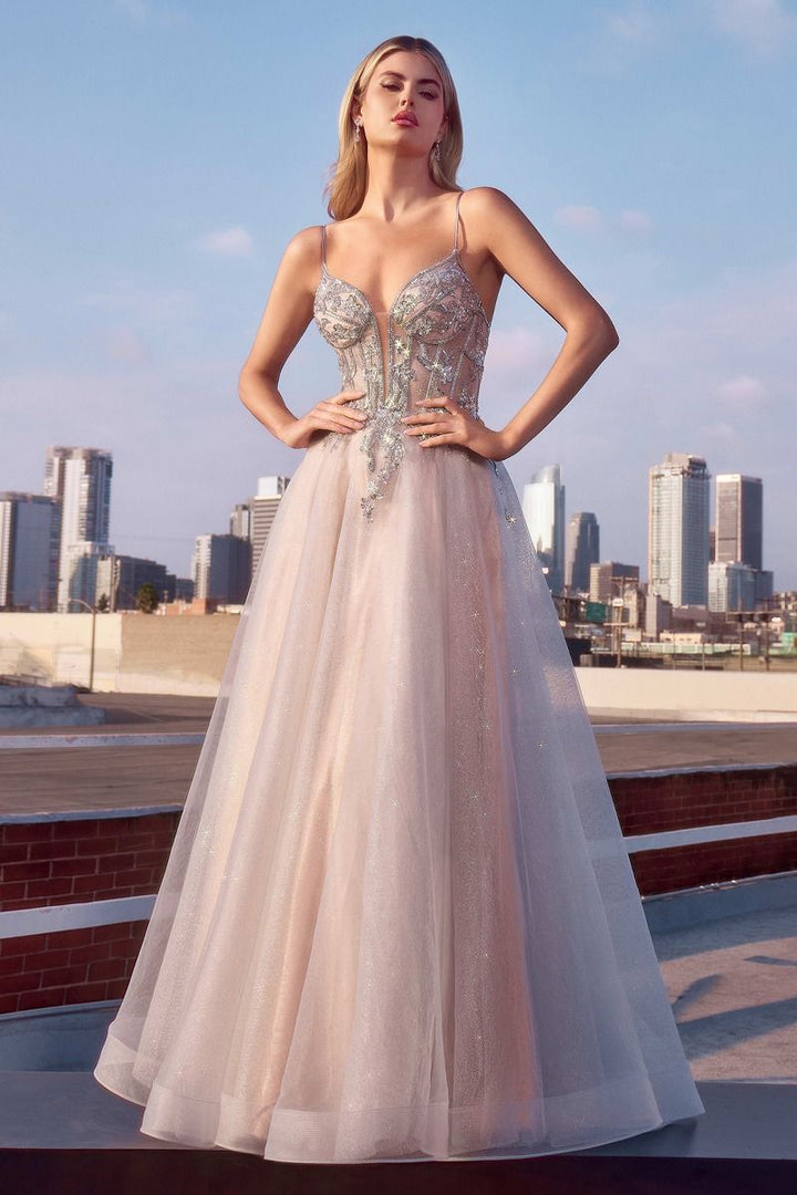 Cinderella Divine  CC0881 Dress - FOSTANI.com