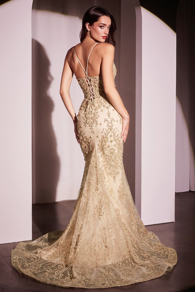 Cinderella Divine CC2403 Dress - FOSTANI.com