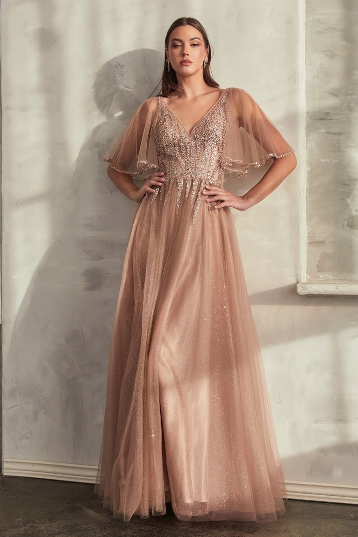Cinderella Divine  CD0175 Dress - FOSTANI.com