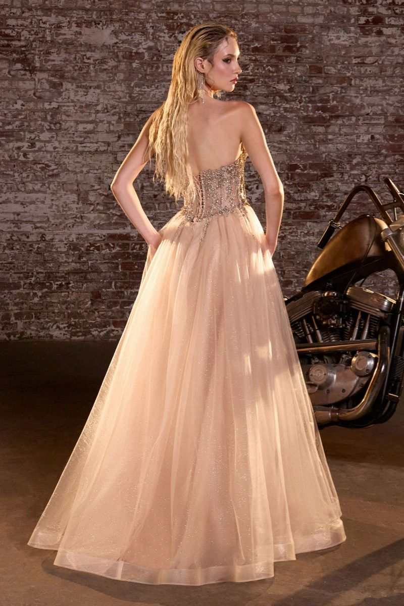 Ladivine CD721 A-line tulle prom dress back view