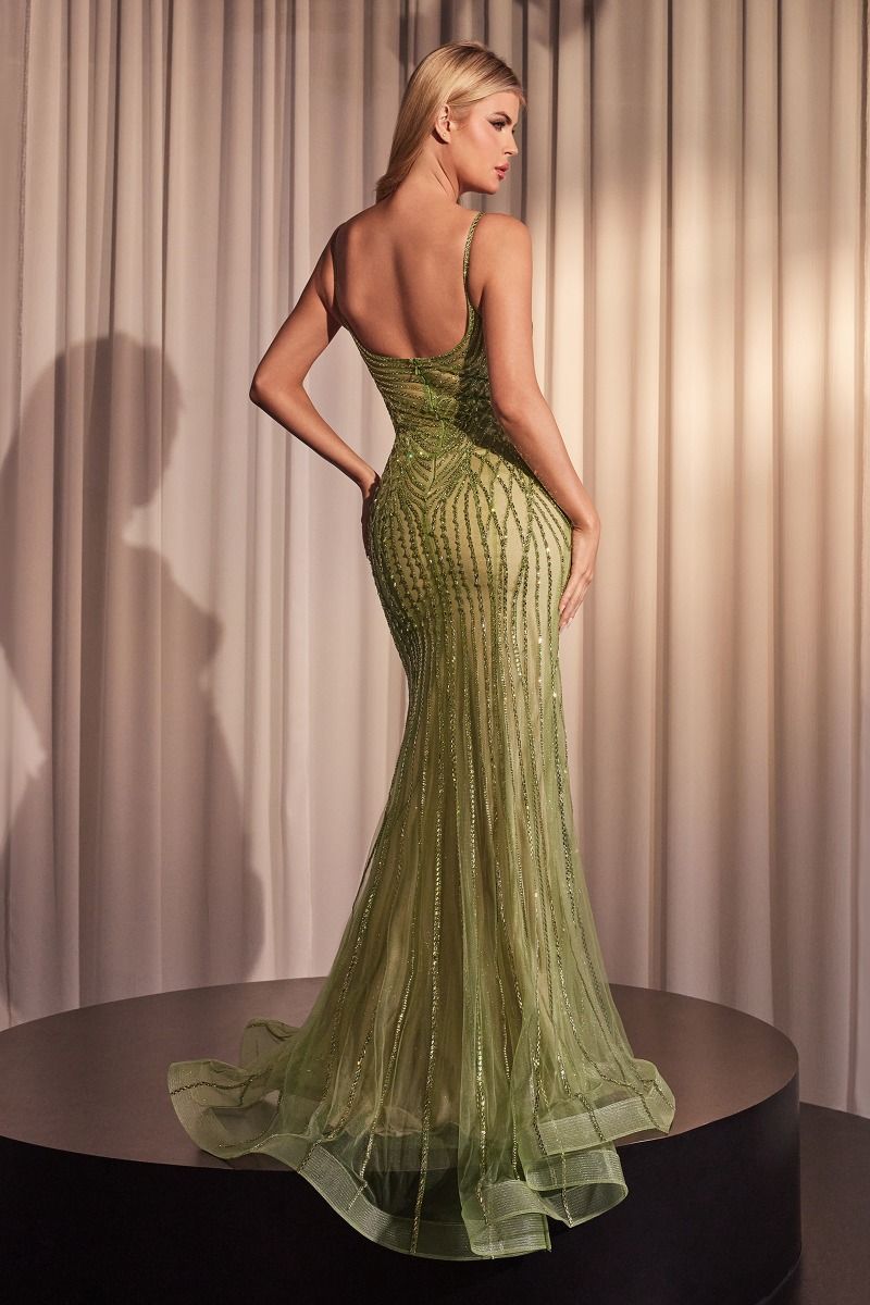 Cinderella Divine CD846 DRESS - FOSTANI.com