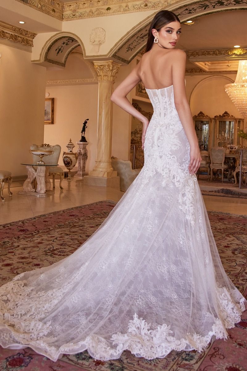 Cinderella Divine CD928 Dress - FOSTANI.com