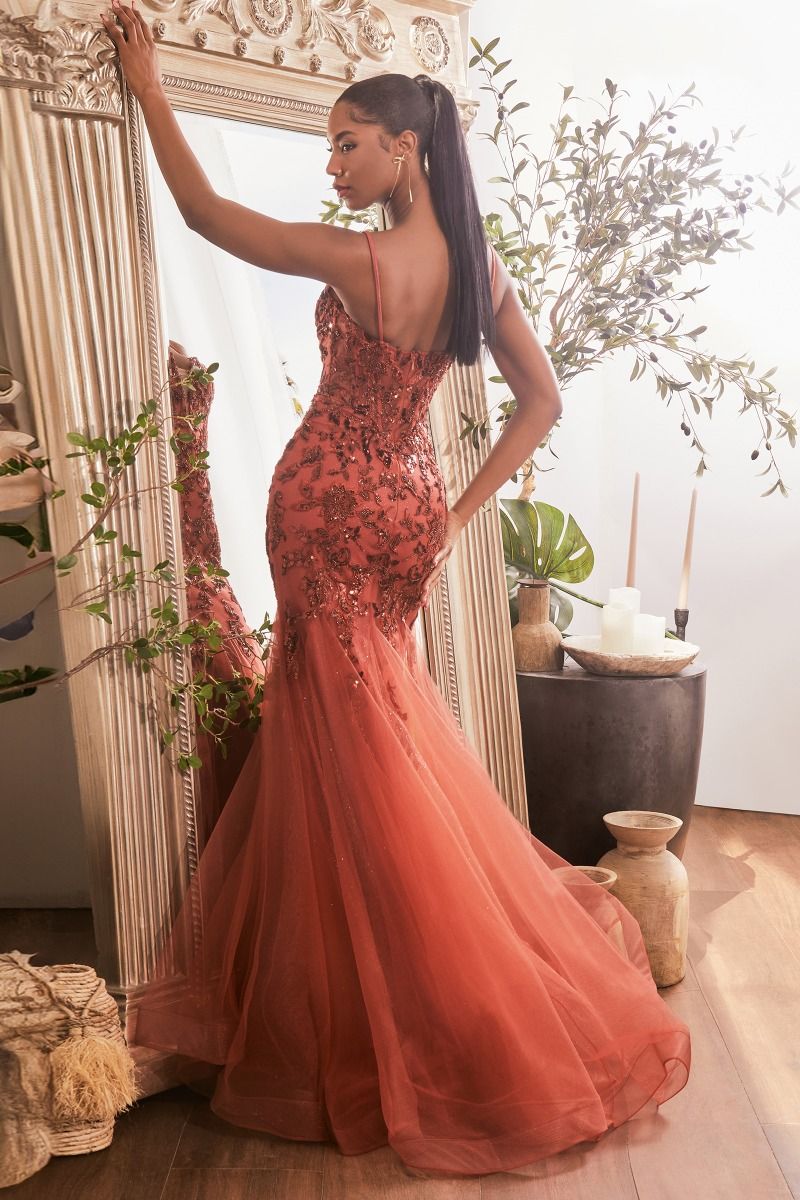 Cinderella Divine CDS488 Dress - FOSTANI.com