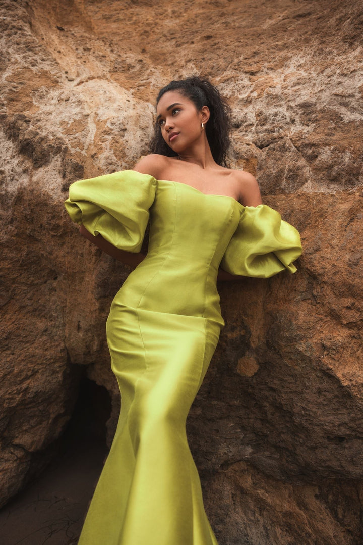 Mac Duggal 50677 Dress - FOSTANI.com