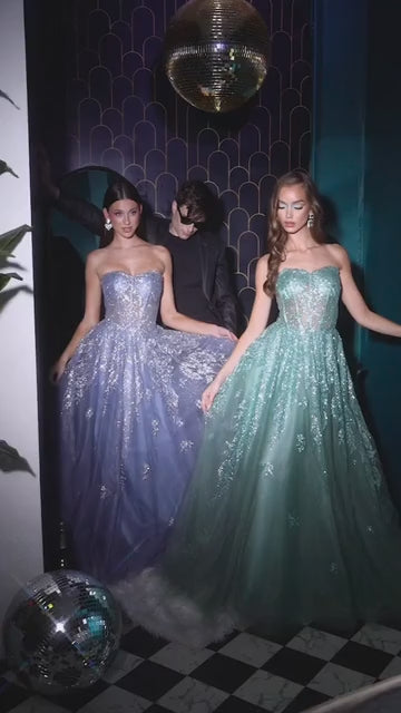 Cinderella Divine  J852 Dress