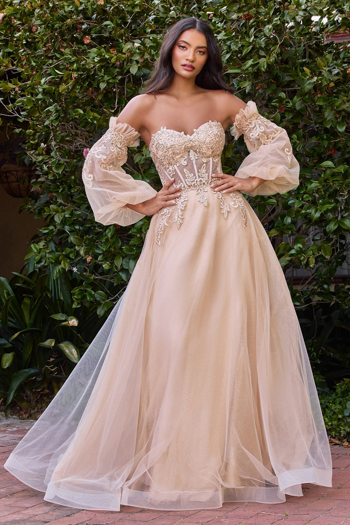 Cinderella Divine CD948 Dress - FOSTANI